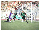 CSConstantine